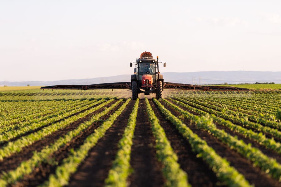 farmer with crops