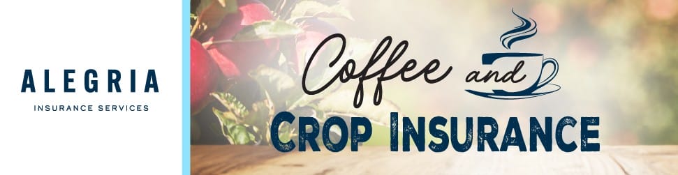 cci banner