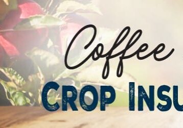 cci banner